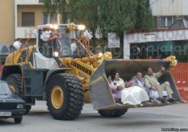 Quem não tem cão caça com gato