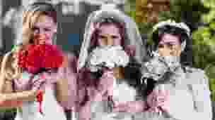 filmes sobre casamento